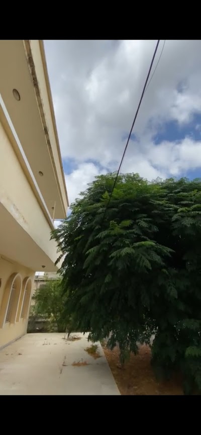Essam apartments
