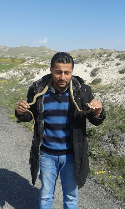 Etiler İlkokulu
