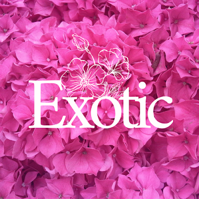 Exotic Flowers