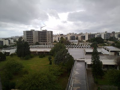 Faculty Of Agriculture
