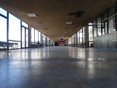 Faculty of Informatics