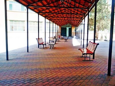 Faculty of Petrochemical Engineering