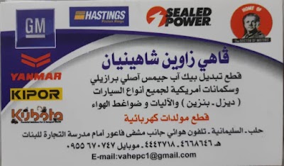 فاهي زاوين شاهينيان ،وكالة سكمانات اميريكي
