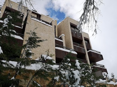 Faraya Village Club