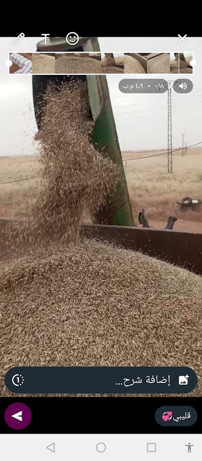 فايز العليوي