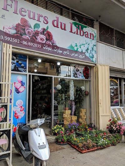 Fleurs du Liban