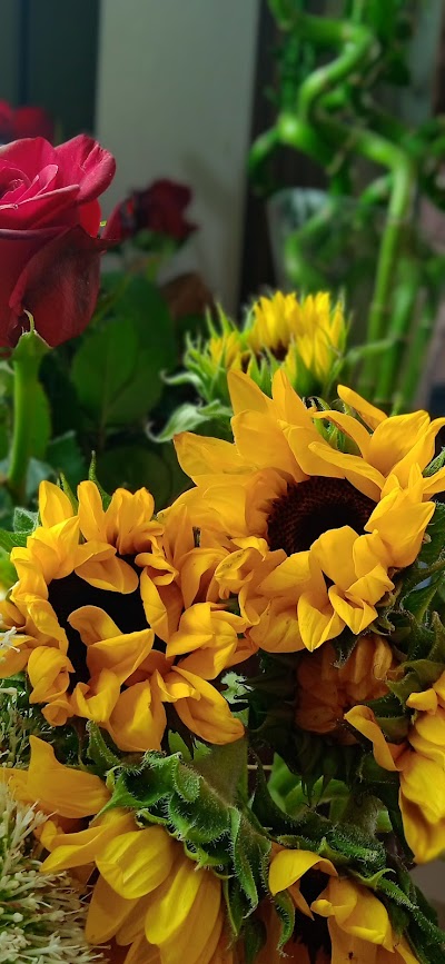Flower and more