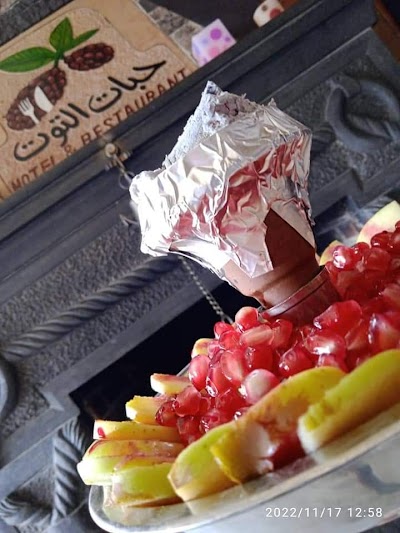 فندق ومطعم حبات التوت