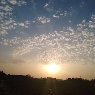 فرن الشافي