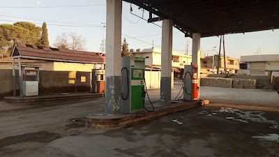 فروج الشمري