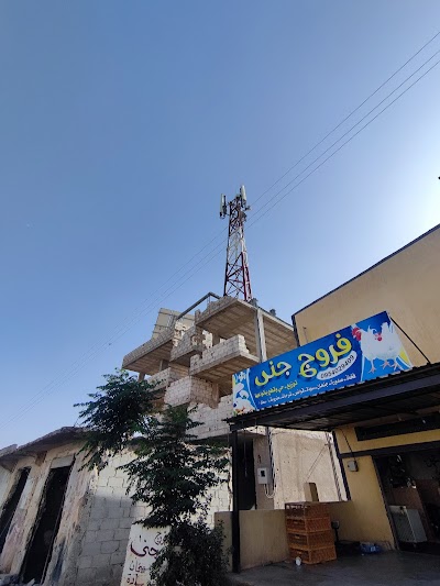 فروج جنى