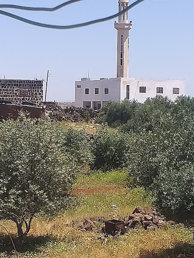 جامع ابو بكر الصديق