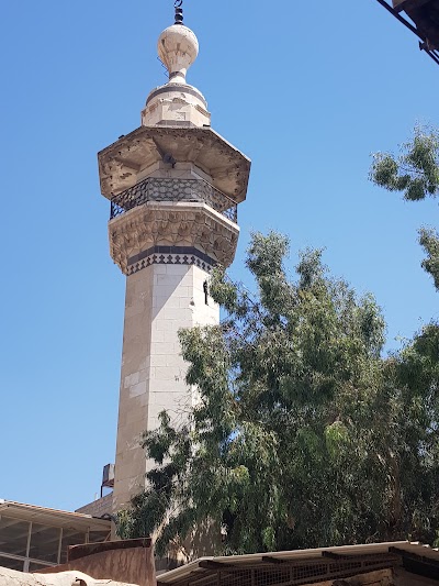 جامع العلامة عبد الغني الغنيمي