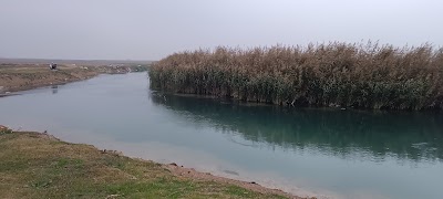 جامع الحوز