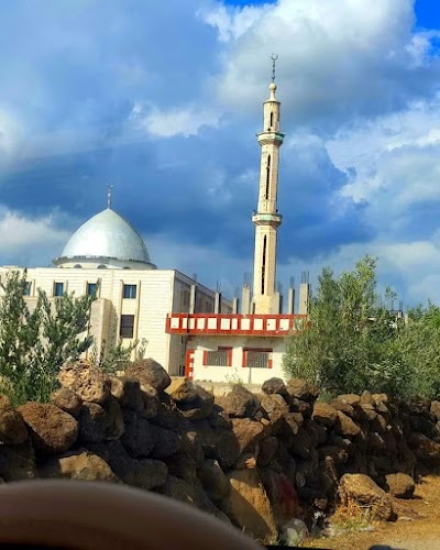 جامع الناصر صلاح الدين