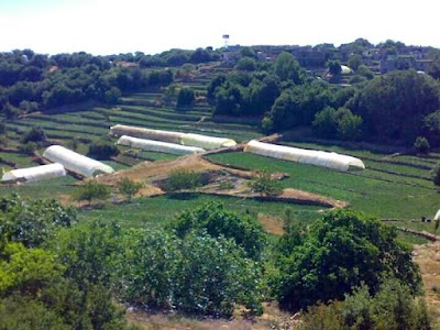جامع بدوقة