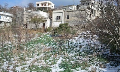 جامع قرية الروضة