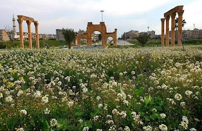 Garden Al_husnaat
