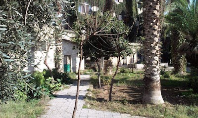 Garden path