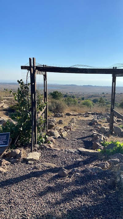 Garden tone and spirit