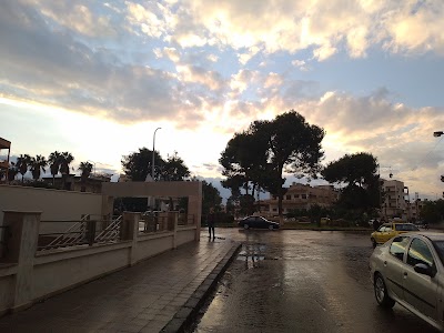 Gardenia Roundabout