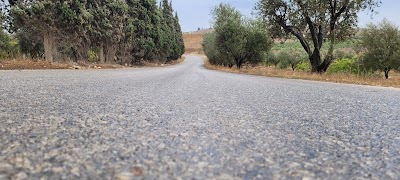 جديدة الشرقية حمص