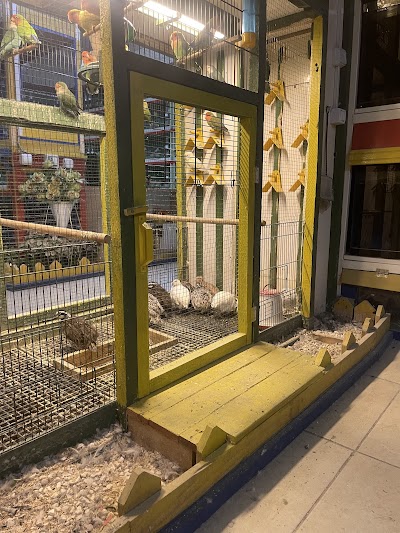 Girit Yem Pet Shop