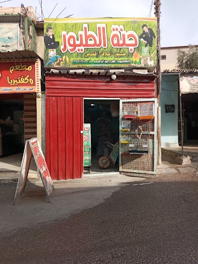 جنة الطيور