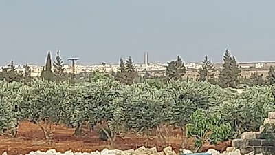 جورة النقرة