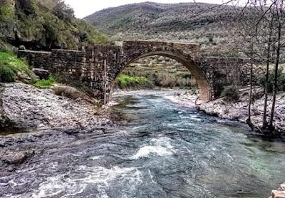 جسر الحاج حسن