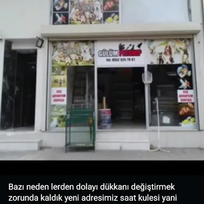 Gülüm petshop