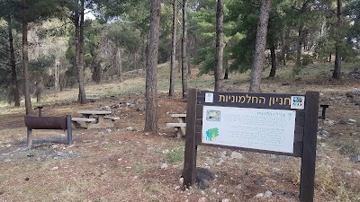 Ha-Khelmoniyot Campsite