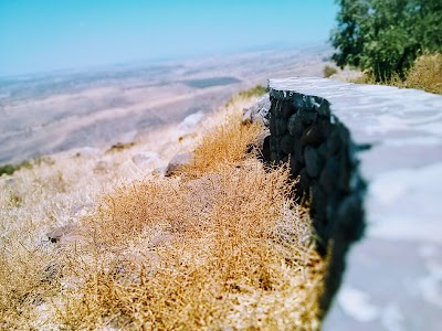 Ha'Alon/HaTe'ena