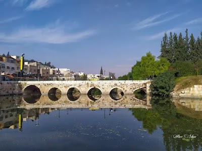 Hama