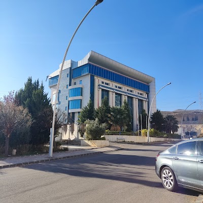 Hamsho Hospital