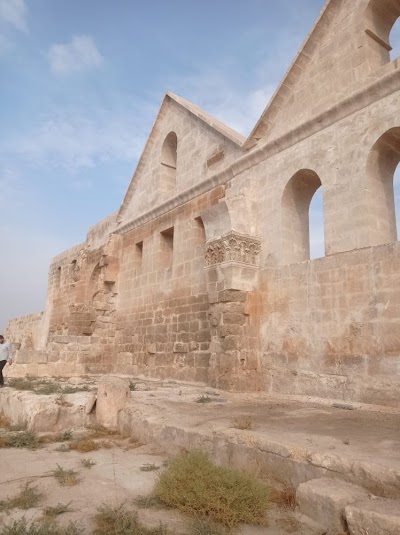 Harran üniversitesi Viranşehir MYO