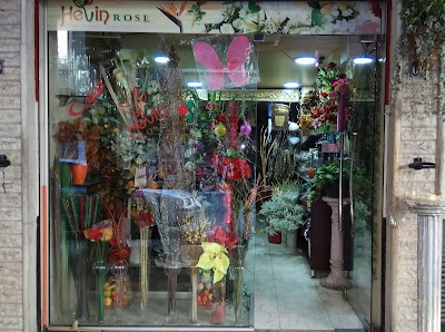 Haven blossoms
