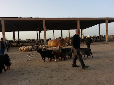 Hayvan Pazarı