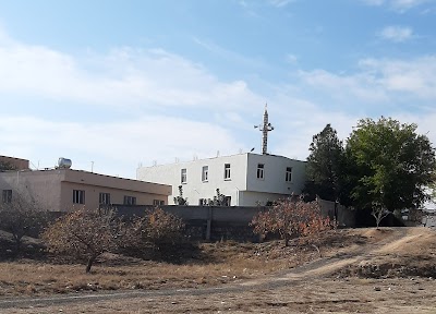 Haznevi camii