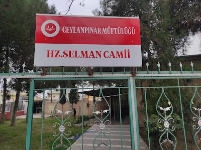 Hazreti Selman Cami