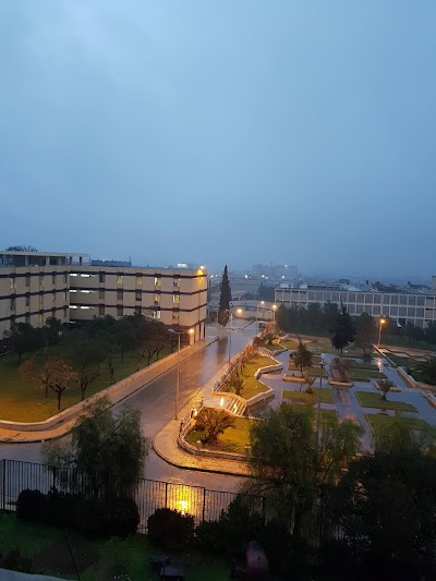 حديقة 15