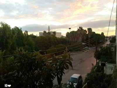 حديقة إبن مسكاوي (حديقة الصناعة)