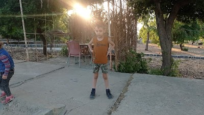 حديقة الفيحاء