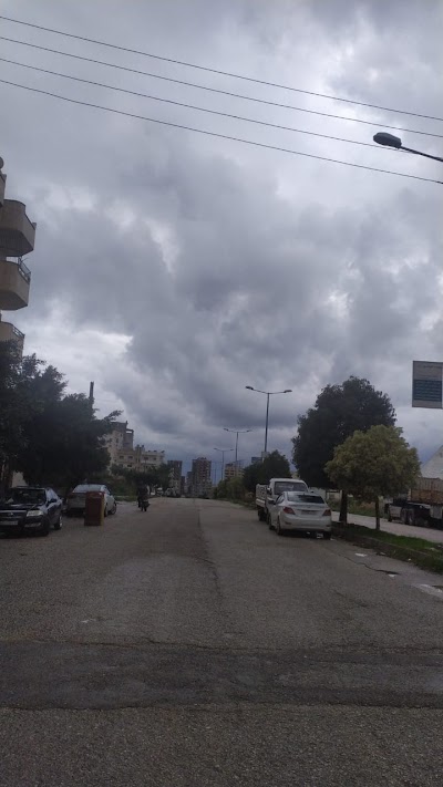 حديقة الحي