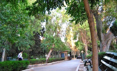 حديقة المحافظة