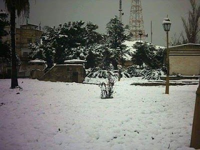حديقة الملجأ