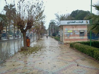 حديقة الرشيد