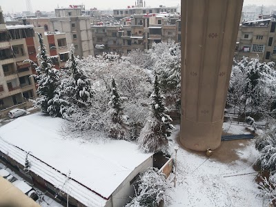 حديقة التلاليح