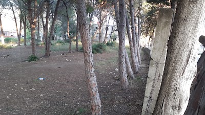 حديقة فتاح نصار