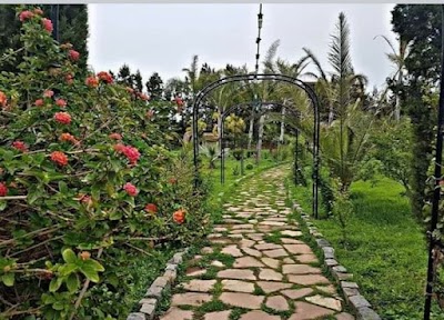 حديقة جنة العريف